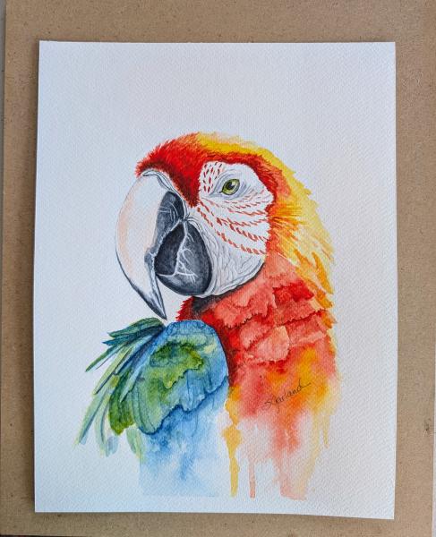Tuesday Morning Watercolors, August (4 sessions) Birds