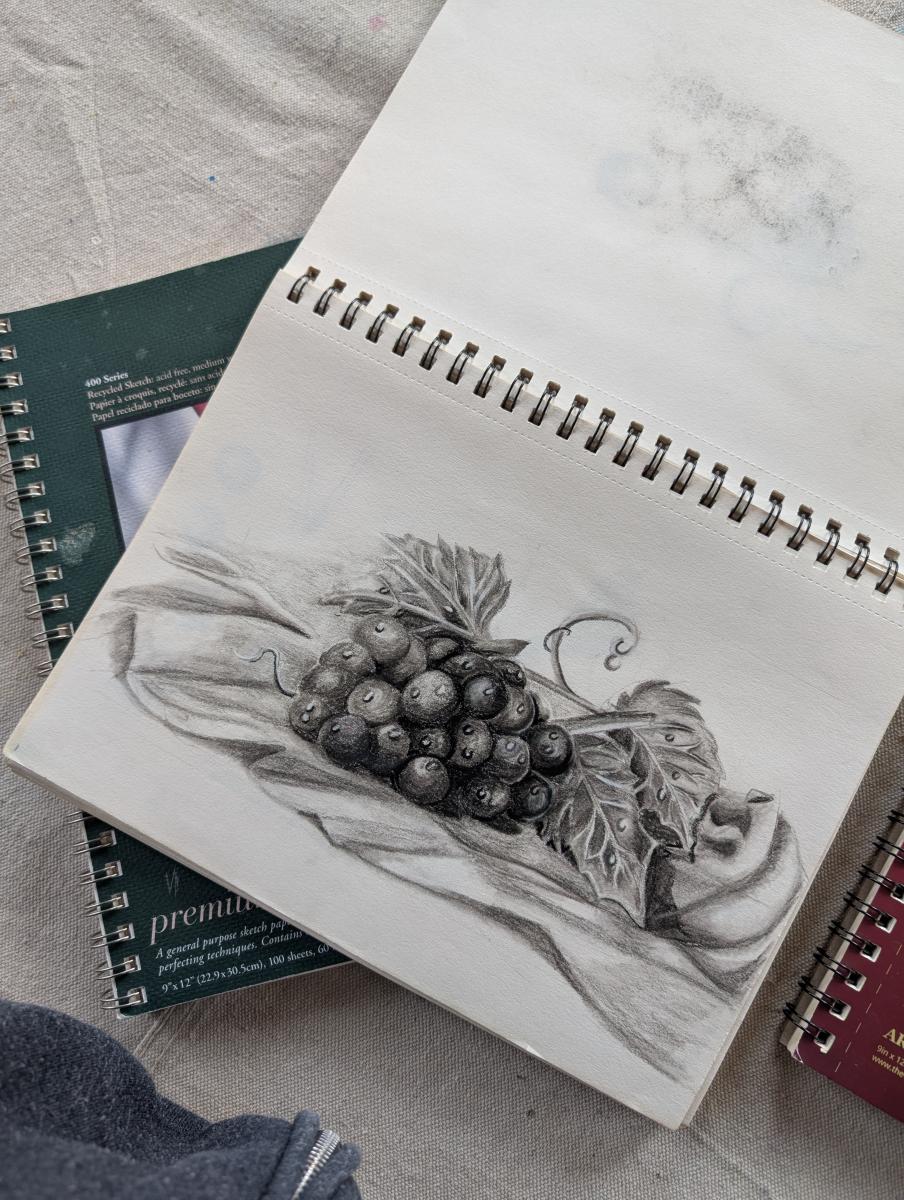 Drawing Basics: Learn to See Like an Artist! (3 Sessions, Nov 10, 17, 24)