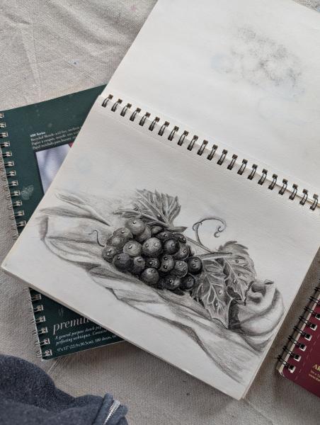 Drawing Basics: Learn to See Like an Artist! (3 Sessions, Nov 10, 17, 24)