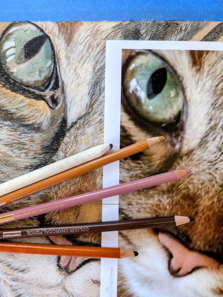 Drawing (4 sessions) Colored Charcoal Pencil