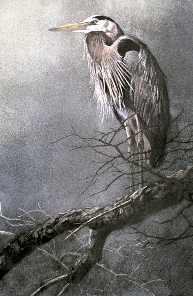 July Watercolors (4 sessions) Robert Baterman- Wildlife Compostition & Design