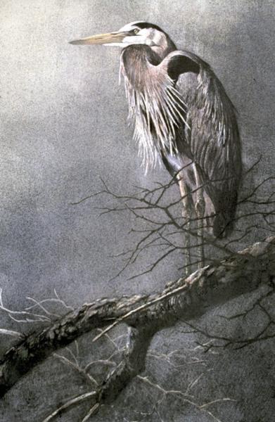 July Watercolors (4 sessions) Robert Baterman- Wildlife Compostition & Design