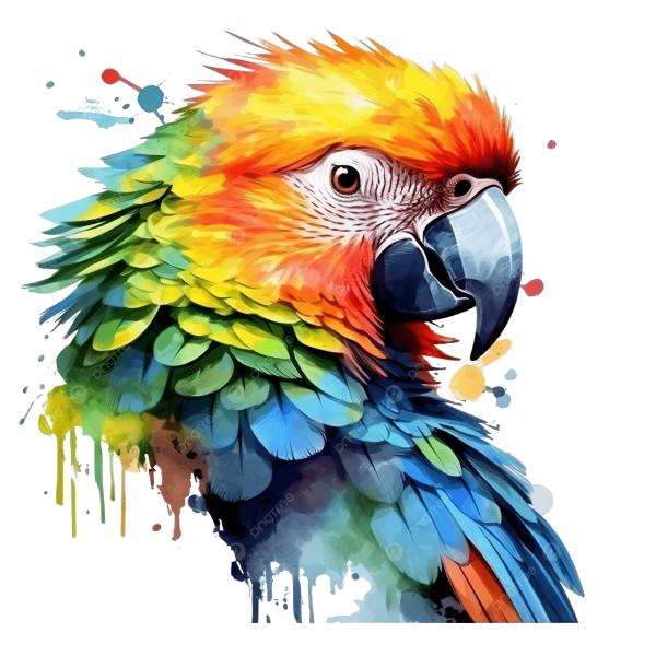 September Watercolors (4 sessions) Parrot