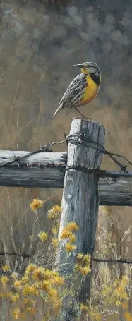 September Watercolors (4 sessions) Terry Isaac