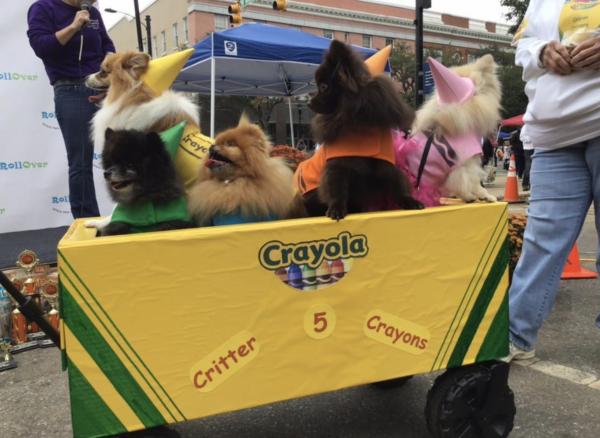 RollOver Pets Virtual Pet Costume Contest