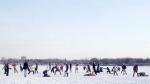The Great Northern