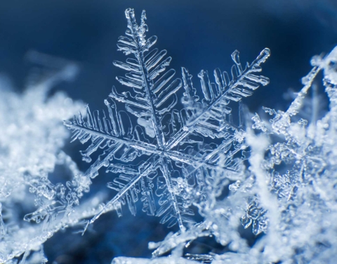 Snowflake Sponsor - $5,000 Snowflake Sponsor - $5,000