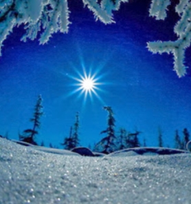 Winter Star Sponsor - $10,000 Winter Star Sponsor - $10,000