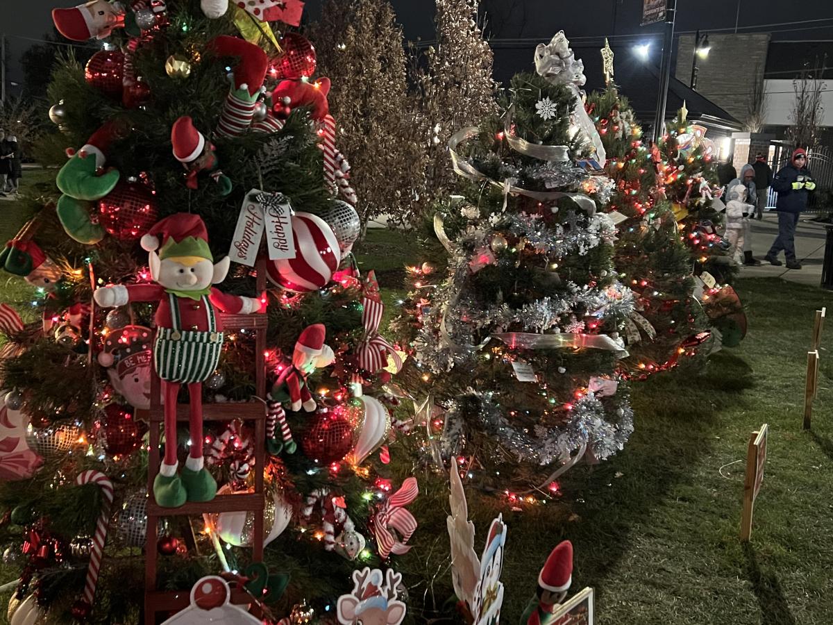 Decorate a Holiday Tree: Registration