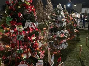 Decorate a Holiday Tree: Registration