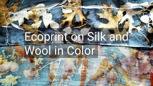 Ecoprint in Color on Silk and Wool, with M Theresa Brown, Saturday 9am-4pm cover picture