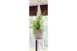 Intro to Macrame: Plant Hanger with Cindie Bennett, Saturday 9am-Noon cover picture