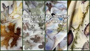 Ecoprint Naturally on Silk and Wool, with M Theressa Brown,  Friday 9am-4pm cover picture