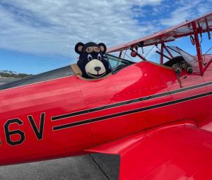 Bi-Plane Ride for Two 3:30 pm 6/4 cover picture