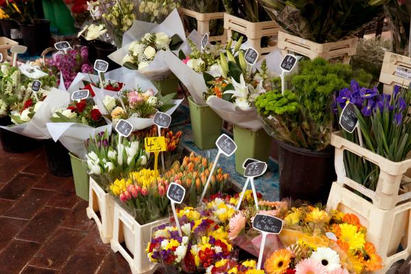 Farmer's Market Vendor