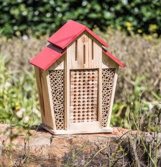 Native Bees & Houses