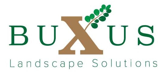 BUXUS