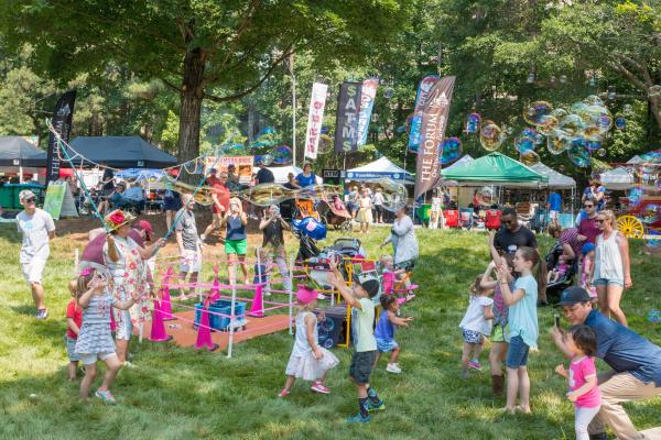 Peachtree Corners Festival Entertainment Application 2019