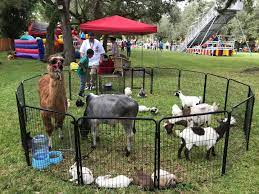 Petting Zoo Petting Zoo