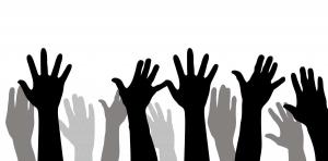 Non Profit Organization