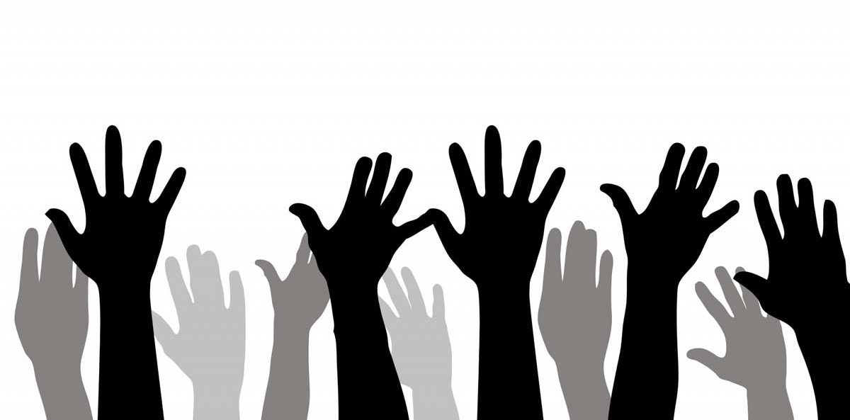 Non Profit Organization