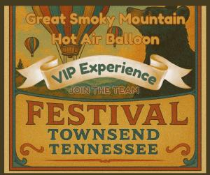 VIP Tent and dinner cover picture