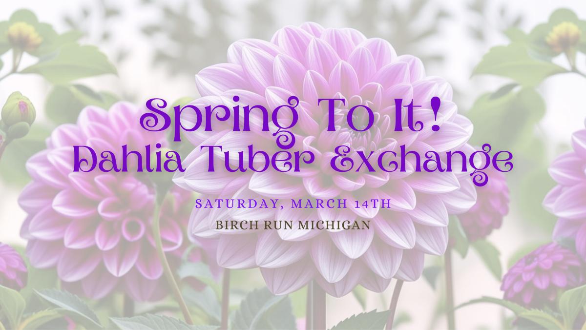 Spring To It! Dahlia Tuber Exchange