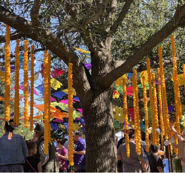 McKinney Dia de los Muertos Volunteer Application McKinney Dia de los Muertos Volunteer Application