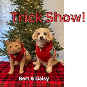 Dog & Cat Trick Show - General Admission cover picture