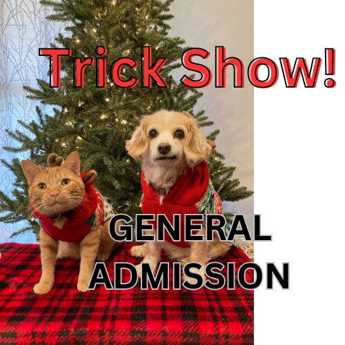 Dog & Cat Trick Show - General Admission cover picture