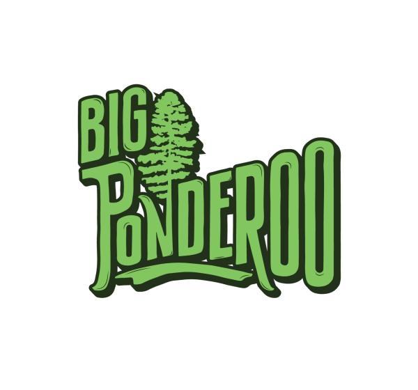 Big Ponderoo Volunteer Application