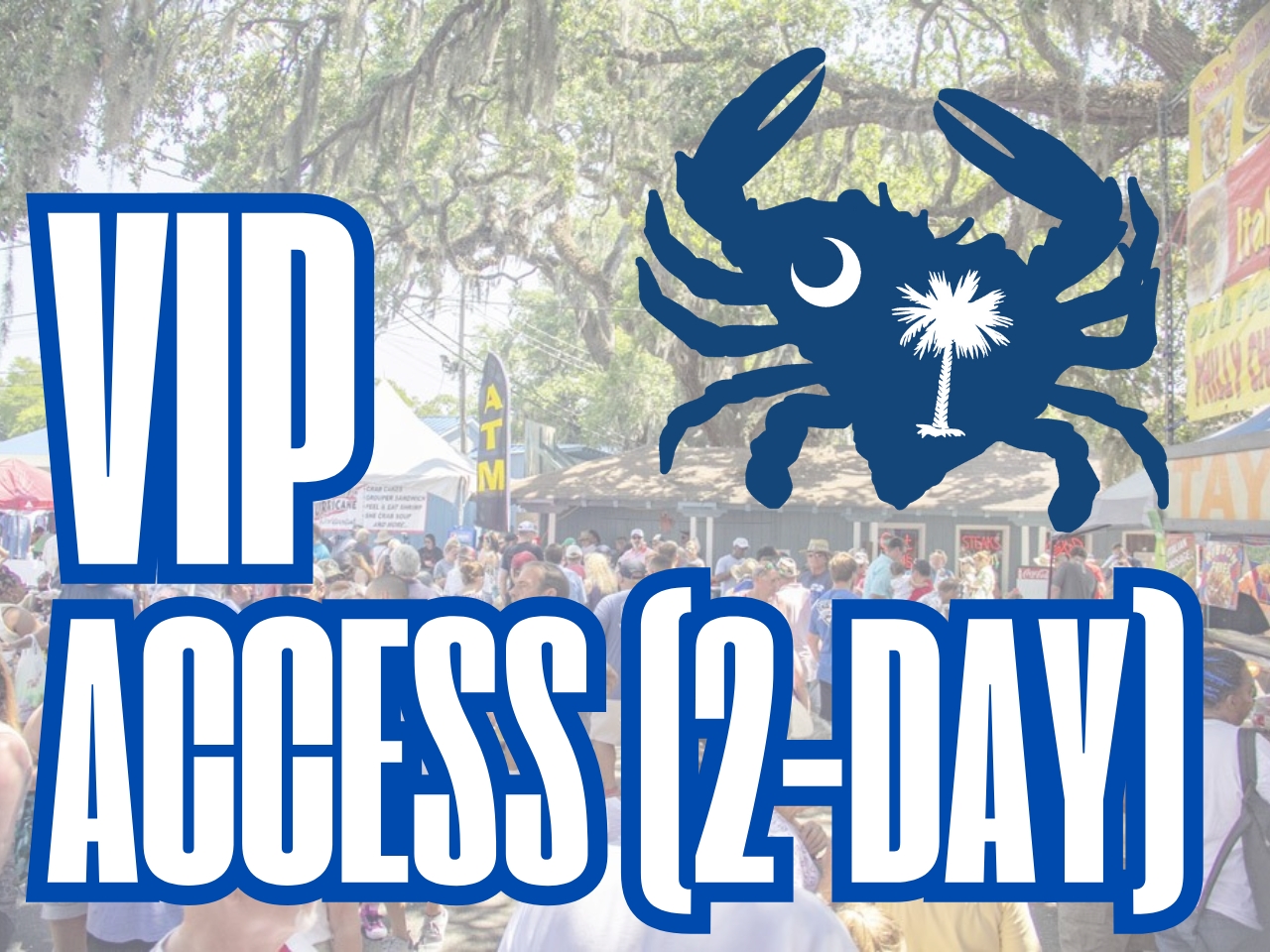 VIP Access cover picture