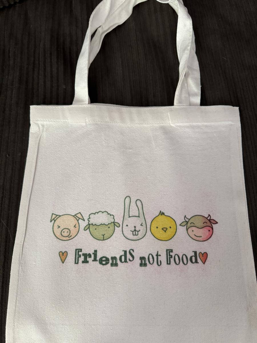 Reusable VIP Bag cover picture