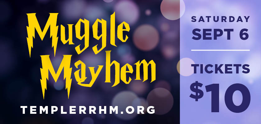 Muggle cover image