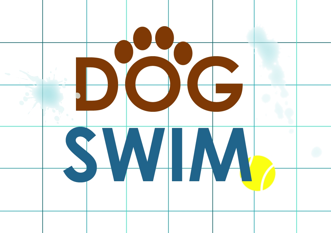 Dog Swimmer - FIRST SESSION cover picture