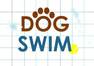 Dog Swimmer - FIRST SESSION cover picture