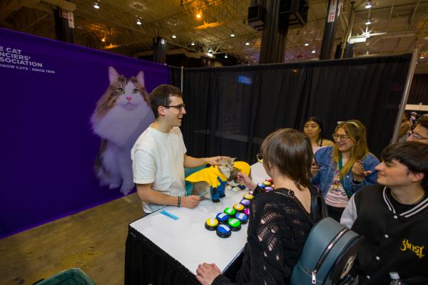Felines and Feline Influencers for Meet & Greet Opportunities Felines and Feline Influencers for Meet & Greet Opportunities