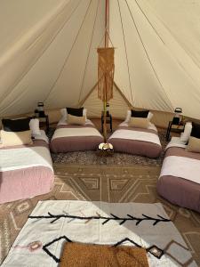 QUADRUPLE LUXURY (Sleeps 4) - Wild Tribe Co. Glamping Tent cover picture