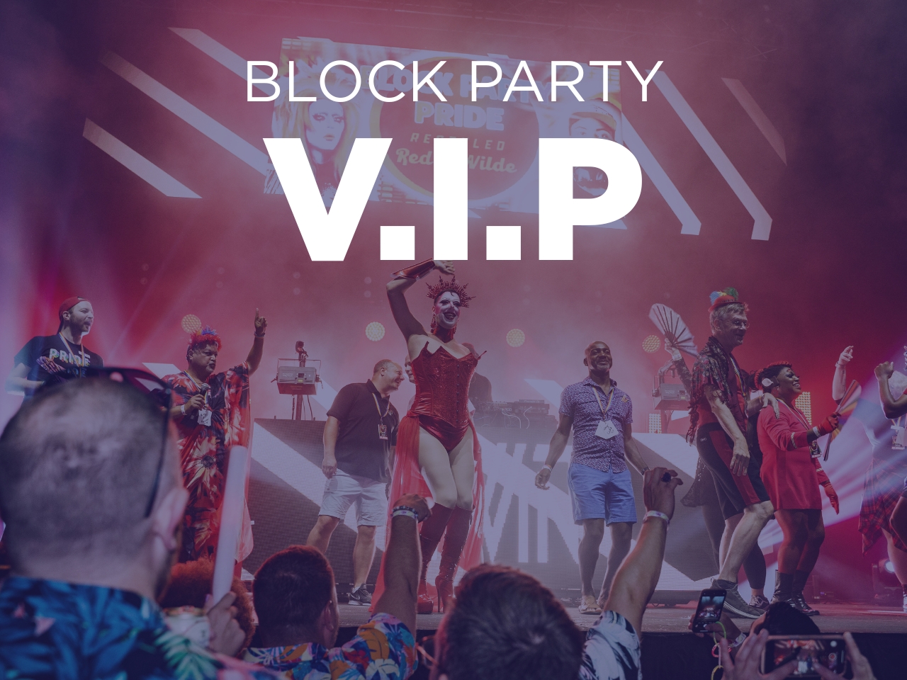 Block Party | VIP Pass cover picture