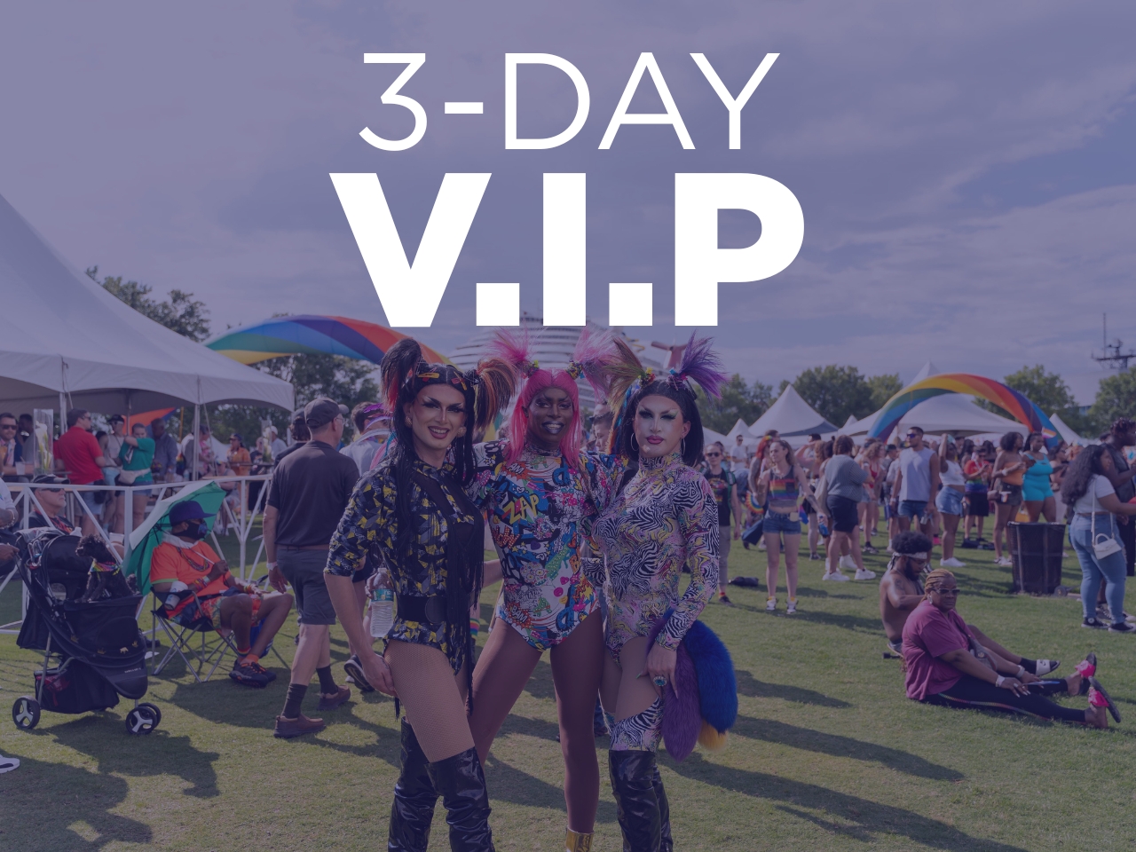 3-Day | VIP Pass cover picture