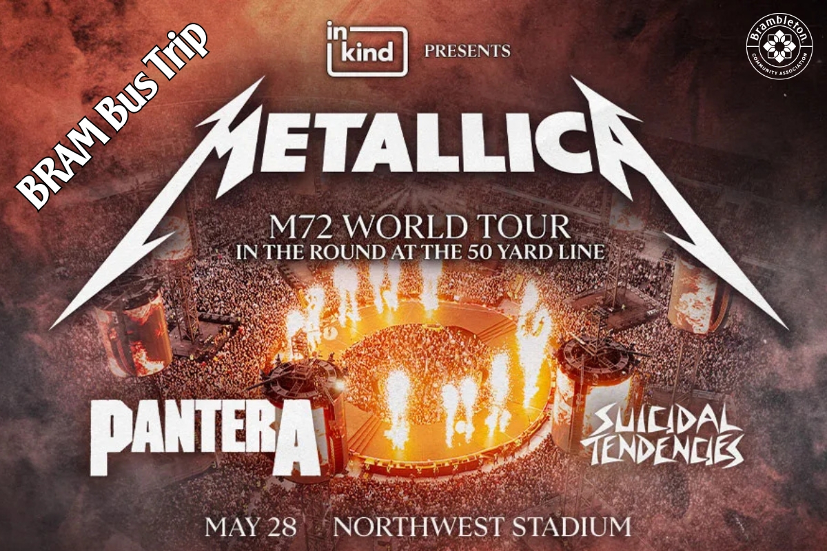 Metallica cover picture