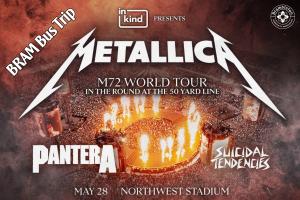 Metallica cover picture