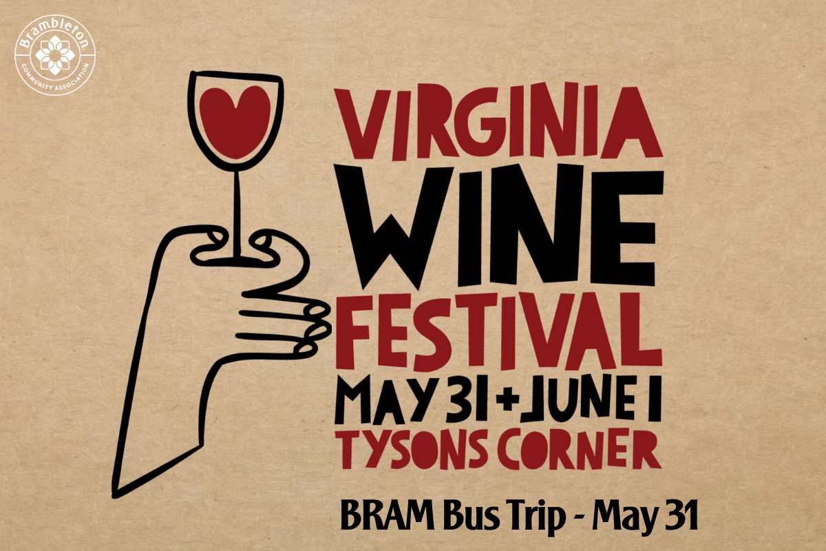 Virginia Wine Festival at Tysons Corner cover picture