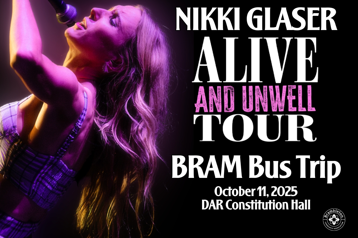 Nikki Glaser - cover picture