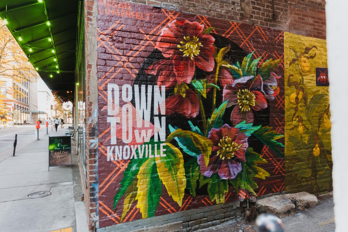 Mural by Megan Lingerfelt in Strong Alley (Downtown Knoxville)
