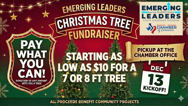 Emerging Leaders Christmas Tree Fundraiser