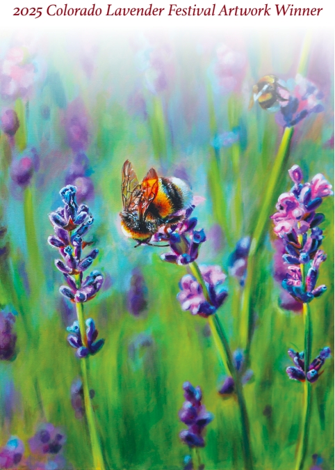 2025 Colorado Lavender Festival Sponsorship Application 2025 Colorado Lavender Festival Sponsorship Application