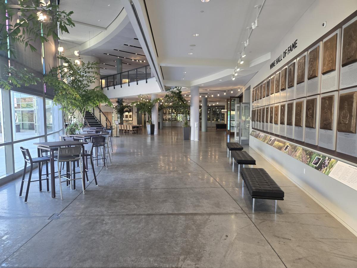 Atrium at CIA Copia where Shine & Wine will be set up.