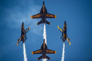 Vidalia Onion Festival Air Show - Adult - Ages 13 and up cover picture