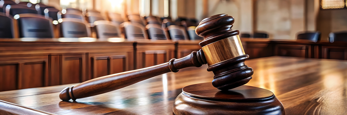 Fall Mock Trial Training